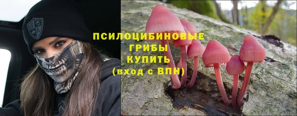 соль ск Нефтекумск