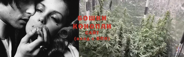 PSILOCYBIN Усмань