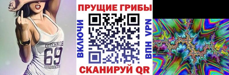 закладки  Уяр  Галлюциногенные грибы прущие грибы 
