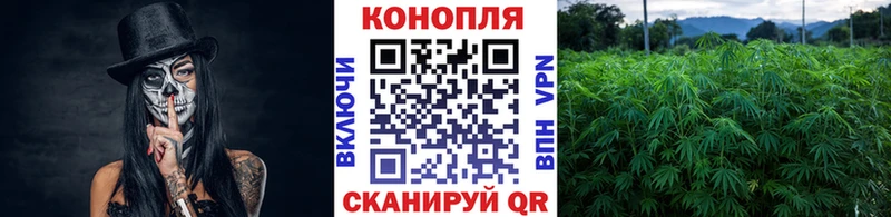 Конопля MAZAR  закладка  Уяр 